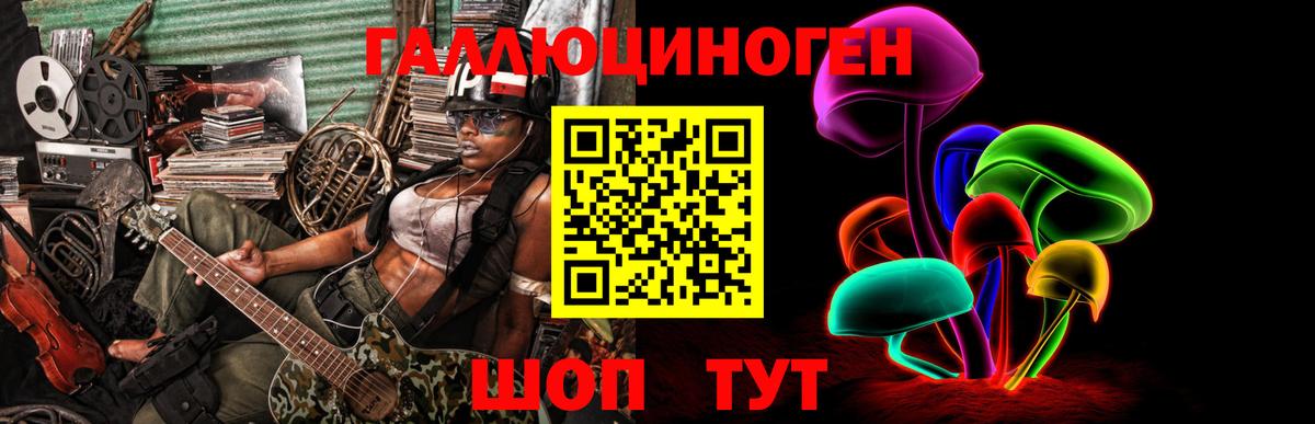 Галлюциногенные грибы Psilocybe  Вход с VPN  Кемерово 